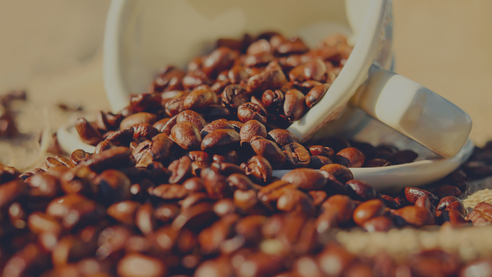 What Good Coffee Should Taste Like