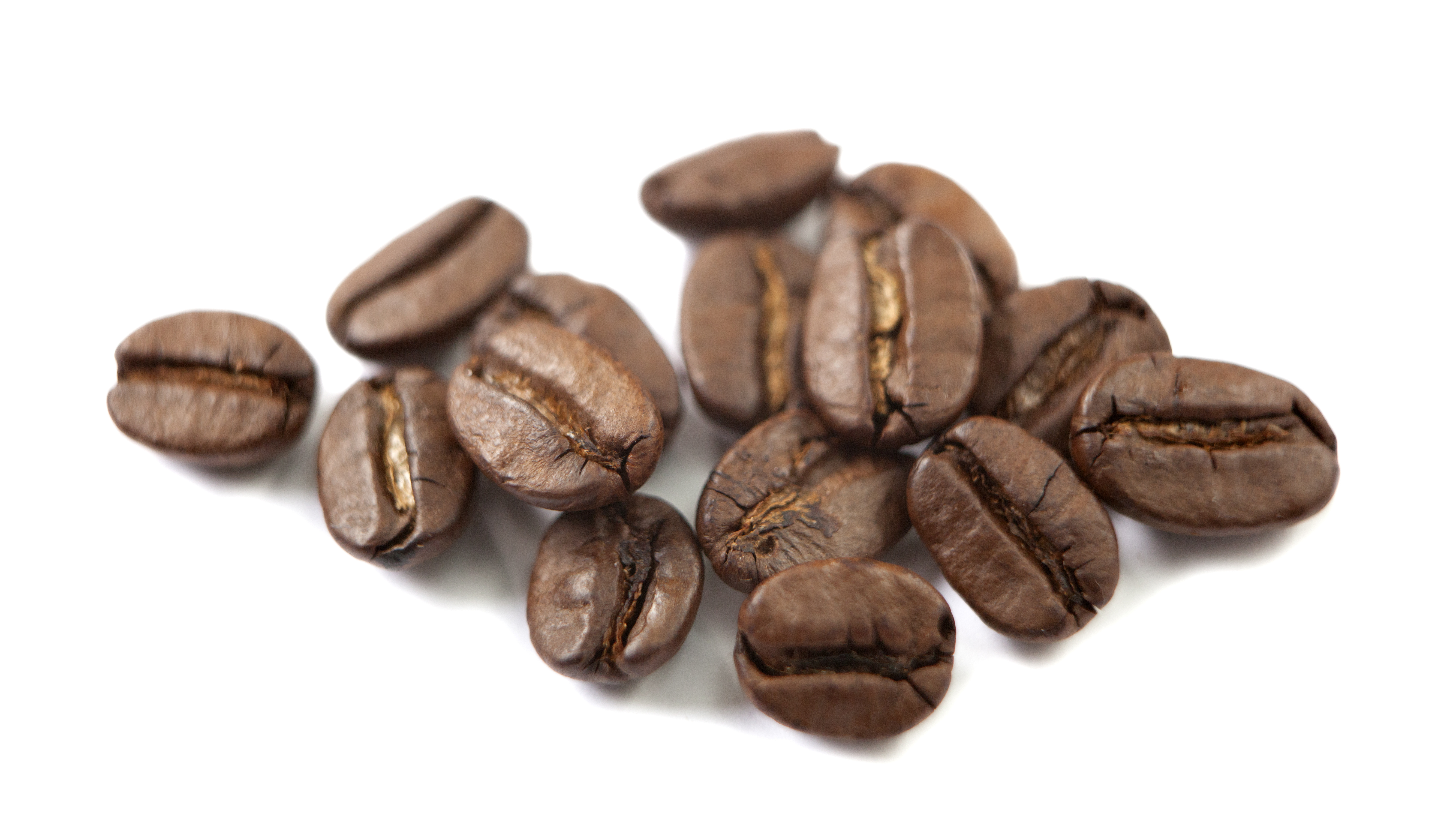 Should You Store Gourmet Coffee in the Freezer?