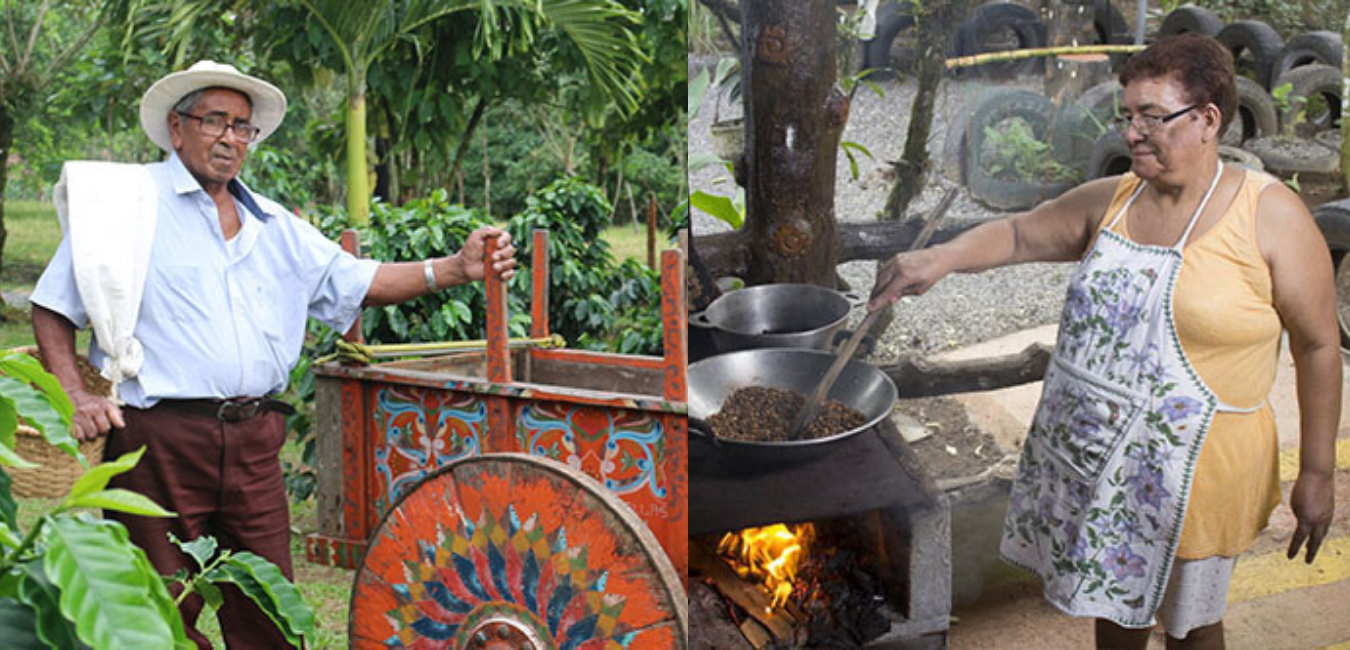 Family harvesting in costa rica - Grumpy Goat Coffee