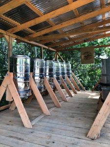 anaerobic coffee processing